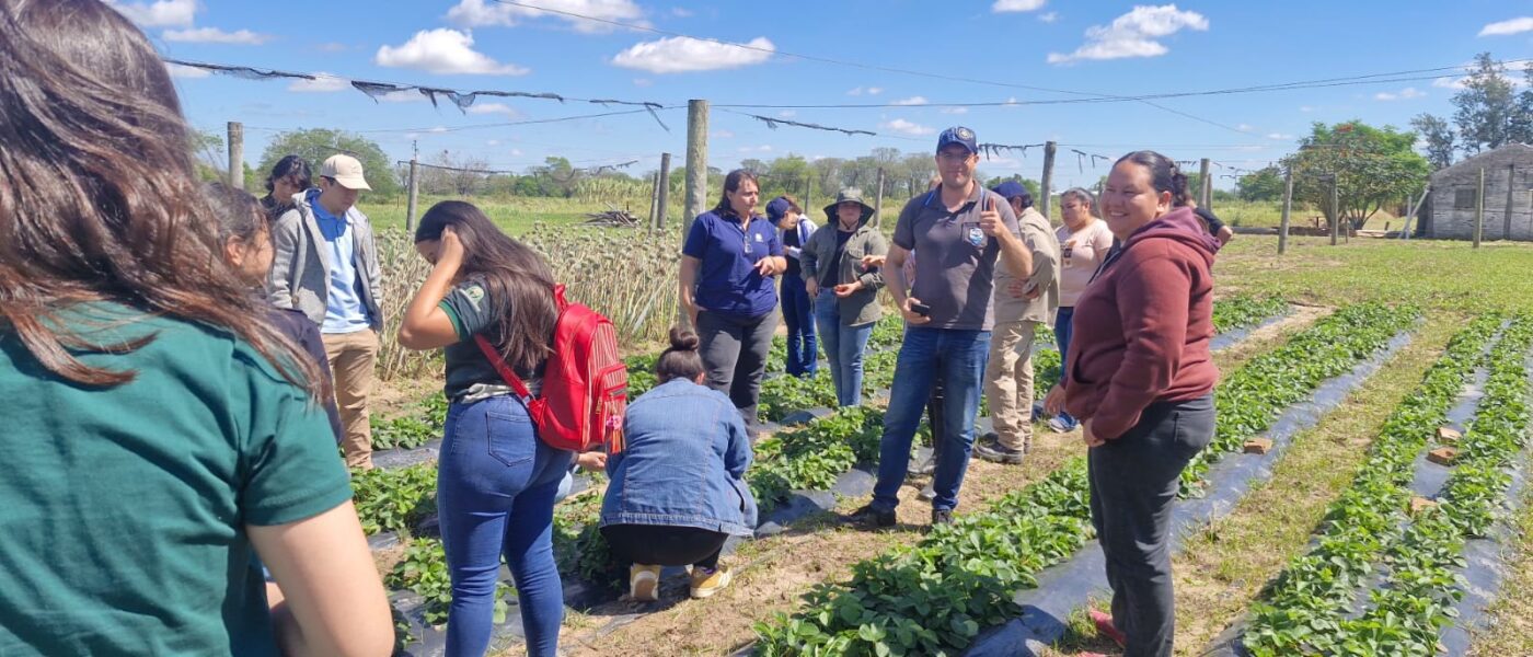 TEC_AGRO_INTA_FRUTILLA_16