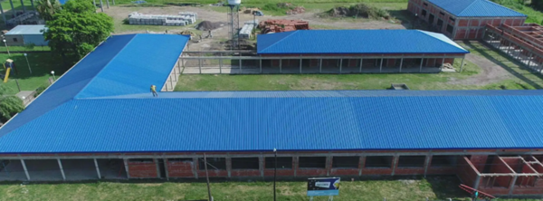 Institucional